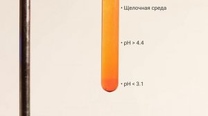 Простейшие индикаторы: метилоранж и фенолфталеин