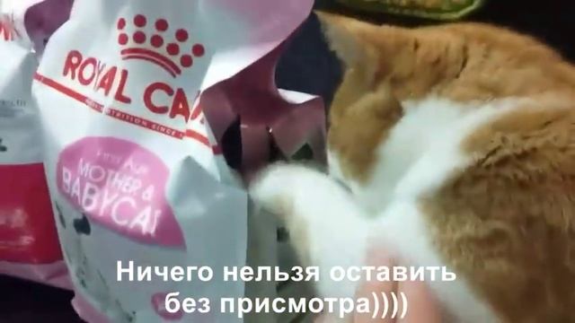 Неповторимый Борян=)