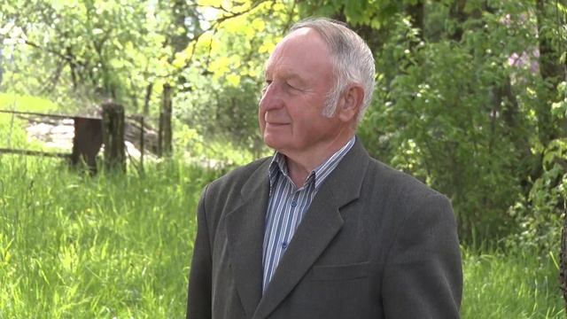 Самый старый вяз Беларуси в деревне Талуи смотреть онлайн