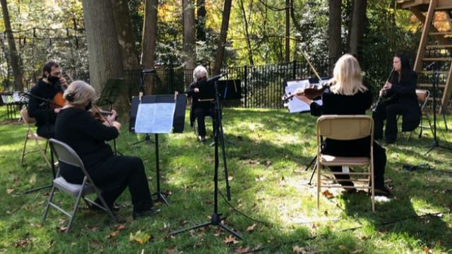 NOVA Annandale Symphony Orchestra: Mozart Clarinet Quintet, K. 581, Allegro смотреть онлайн