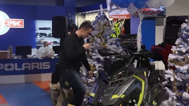 СНЕГОХОД ОТ POLARIS смотреть онлайн