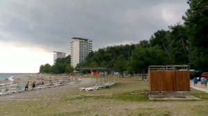 Абхазия. Пицунда. Сосновая роща.