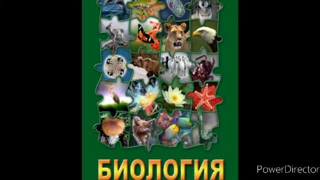 #20 Класс двудольные. Семейство крестоцветные. Биология 7 кл. смотреть онлайн