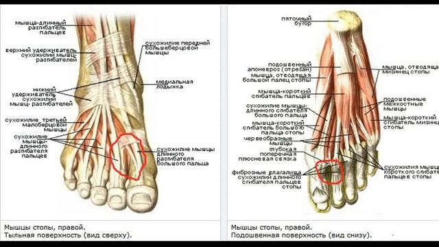 Как избавиться от шишек на ногах. смотреть онлайн