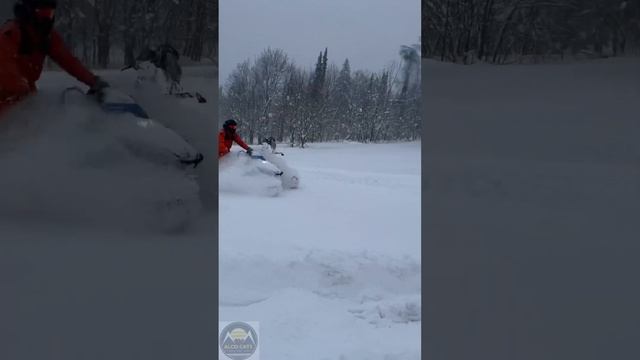 Бедярыш 4.01.23 ?снежок смотреть онлайн