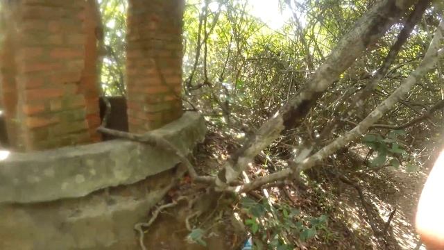 ШРИ-ЛАНКА.ДЕВОЧКИ.ОСТРОВ.VLOG#17 смотреть онлайн