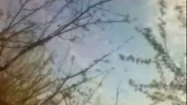 Dimi.Fortea - Nasha Dacha Project Intro Video (Private) смотреть онлайн