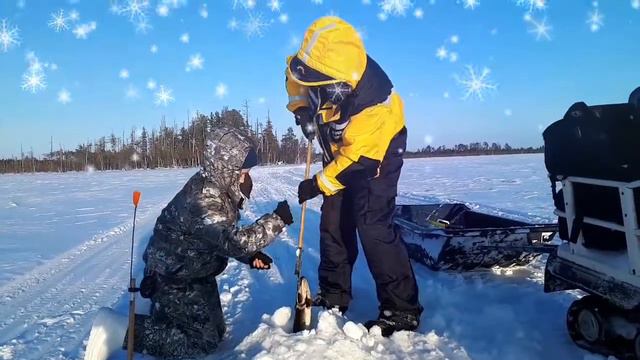 В гостях у Лешего смотреть онлайн