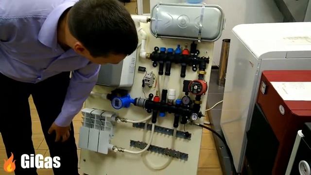 Коллектор Федерика Бугатти. Гигаз смотреть онлайн
