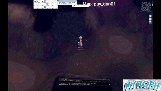 How to Solo Level Acolyte to Priest Job Level 50 Undead - myROPH Ragnarok (GH Micro leveling) 2020 смотреть онлайн