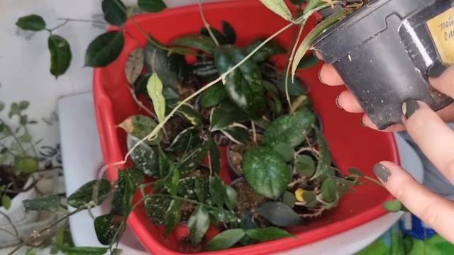 Разбираемся с балконом, часть 3 смотреть онлайн