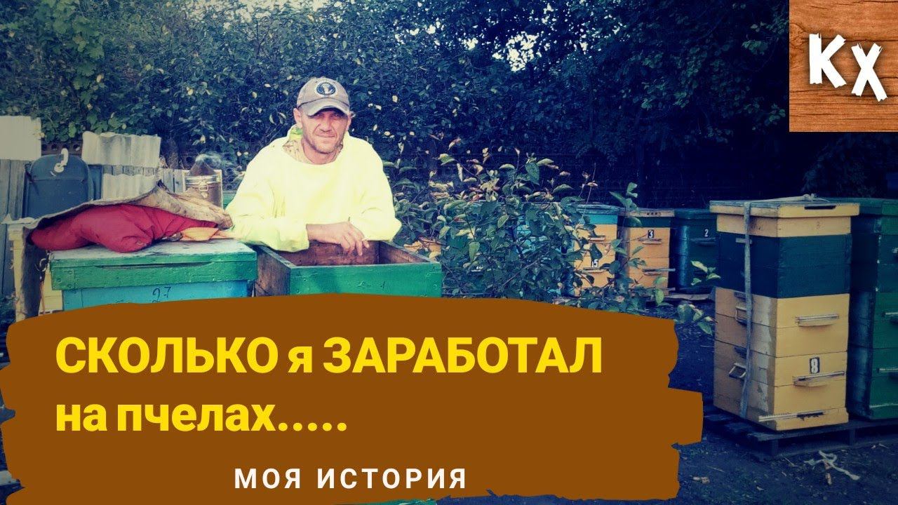 Содержание пасеки - отличный БИЗНЕС для деревни. Сколько я заработал на пчелах..??? смотреть онлайн