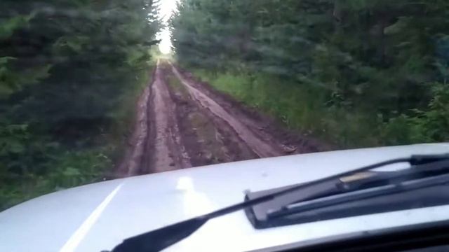 КРАСОТА ВЯТСКОЙ ПРИРОДЫ/ВЯТКА-РЫБАЛКА-ОТДЫХ/ВЫХОДА-СООРУЖЕНИЕ ДЛЯ РЫБНОЙ ЛОВЛИ смотреть онлайн