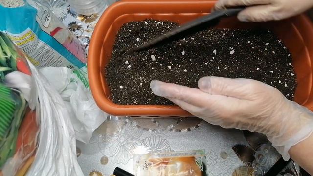 СЕЕМ ЛУК. Я БОЛЬШЕ НЕ ПОКУПАЮ СЕВОК!!! смотреть онлайн