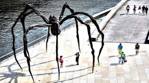 Самые Огромные ПАУКИ в Мире