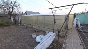 Весенний полив винограда.