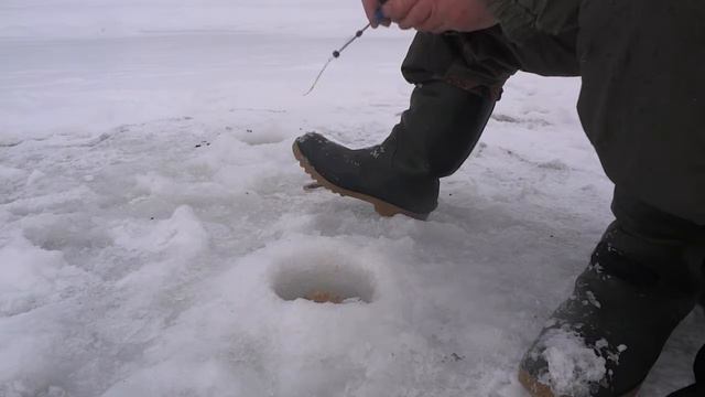 Видеоотчёт о рыбалке. Банновская протока. 10 12 17 г. смотреть онлайн