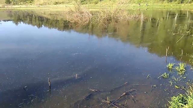 Путешествие в Детство. село Агинское. смотреть онлайн