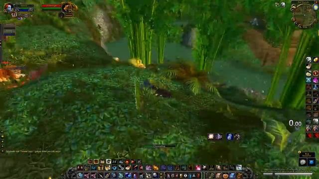Classic WoW: Zulgurub Solo stuff as Hunter смотреть онлайн