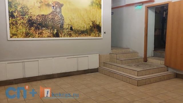 Аренда и продажа торгового помещения Красноярск//knkras.ru//ул. Диктатуры Пролетариата смотреть онлайн