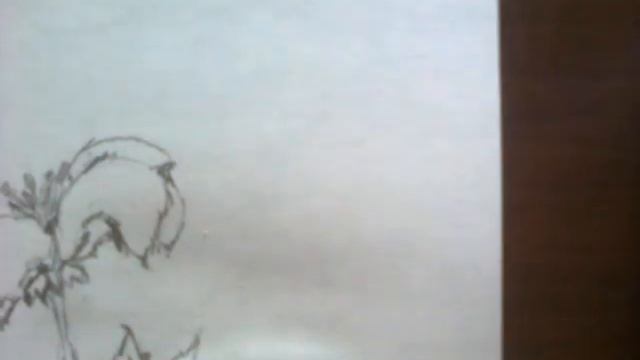 Как нарисовать цветок простым карандашом