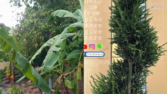 I'm Alway Doing Something / Keep me occupied смотреть онлайн