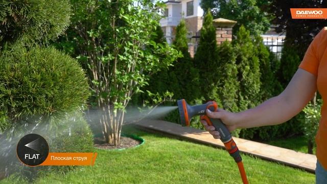 Пистолет-распылитель DAEWOO DWG 3030 смотреть онлайн