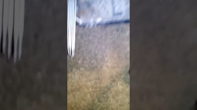 Трактор своими руками. МТ-1 смотреть онлайн