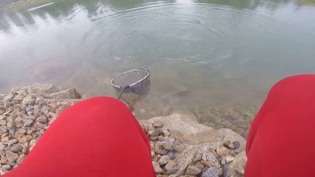 Ловля Форели на РК Азарт смотреть онлайн