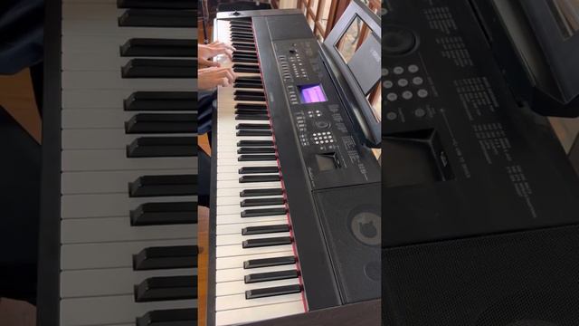 Merry-Go-Round of Life Piano Cover смотреть онлайн