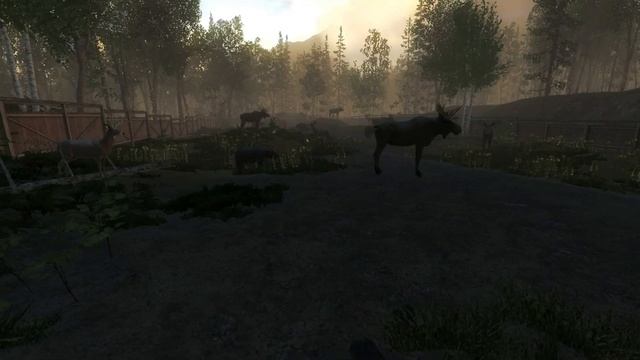 The Hunter Classic Подробный Обзор Курковки смотреть онлайн