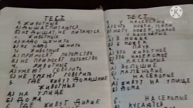 Обзор на учебник Басика по окружающему миру смотреть онлайн