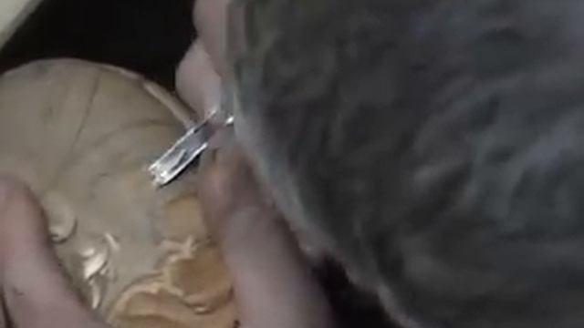 1.avi смотреть онлайн