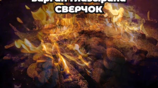 Варган Дмитрия Глазырина СВЕРЧОК смотреть онлайн