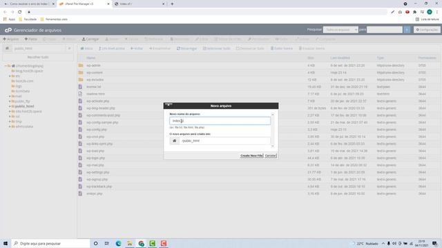 Como arrumar o erro de Index Of do WordPress no InfinityFree (Rápido e Fácil) 2022 смотреть онлайн