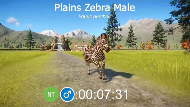 Zebra Species Speed Races In Planet Zoo Included Quagga, Plains Zebra And Grevy's Zebra