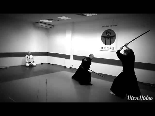 Кодокан Син-рю. 25 летие Школы.