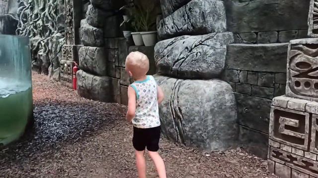 Зоопарк краснодар смотреть онлайн