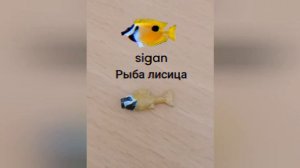 диорама морское дно