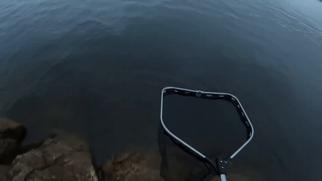 ВОЛШЕБНАЯ РЫБАЛКА В КАРЕЛИИ | ПЯТЬ ДНЕЙ НА ОСТРОВЕ | ТРОФЕЙНАЯ РЫБА - ФОРЕЛЬ,ЩУКА! смотреть онлайн