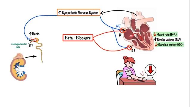 Pharmacology – HEART FAILURE (MADE EASY).mp4 смотреть онлайн