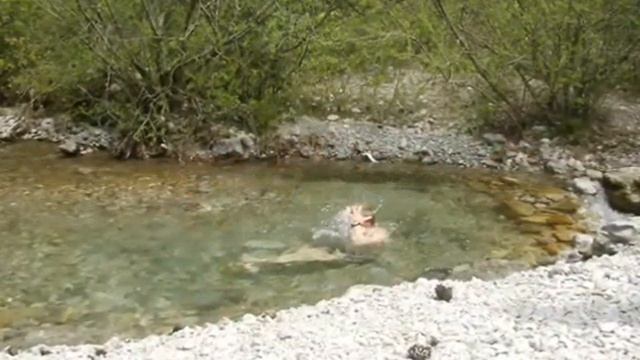 Детская спортивная школа карате тренер Сергей Носов смотреть онлайн
