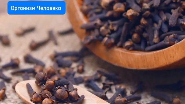 Просто начало жевать ГВОЗДИКУ... Польза и вред ГВОЗДИКИ... Как избавится от... ПОДПИШИСЬ НА КАНАЛЕ. смотреть онлайн