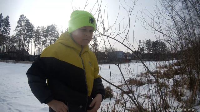 Нашли большой гриб Чага. Кордон, февраль 2023г. смотреть онлайн