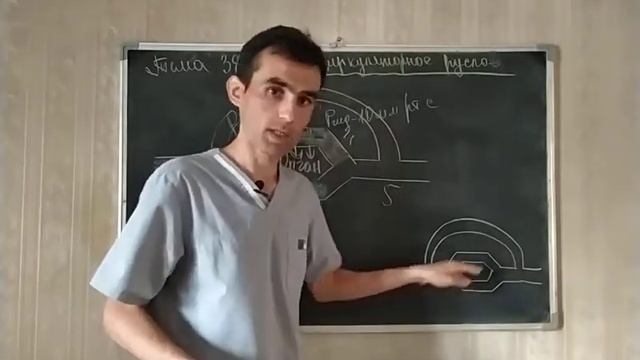 Физиология. Микроцируляторное русло. #38 смотреть онлайн