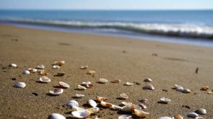 1. Путешествие на польском языке. | Польский Язык