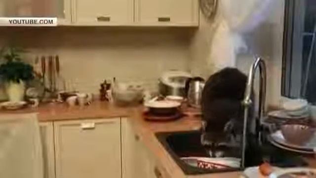 енот полоскун моет посуду смотреть онлайн