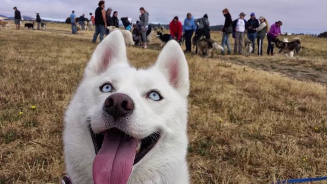 Новое вид5 смотреть онлайн