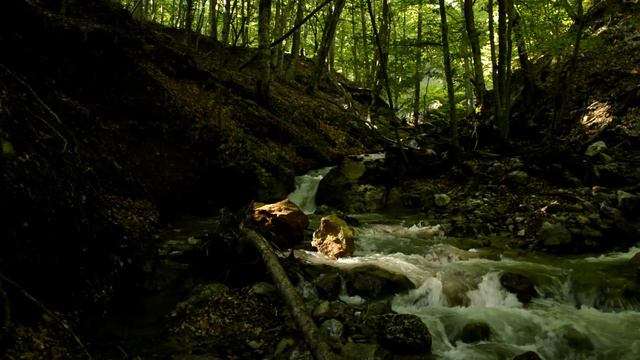 Река Донга, Донговский водопад, ручей Хырсыс - Су, 30.6.22 смотреть онлайн