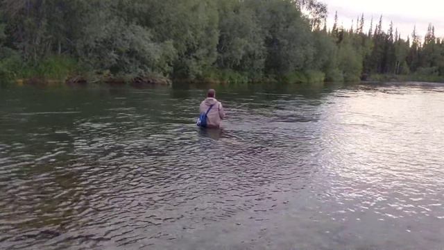 Ловля нахлыстом на Приполярном Урале смотреть онлайн